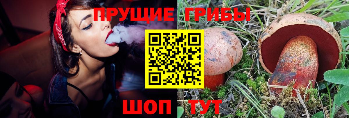 Галлюциногенные грибы GOLDEN TEACHER Янаул