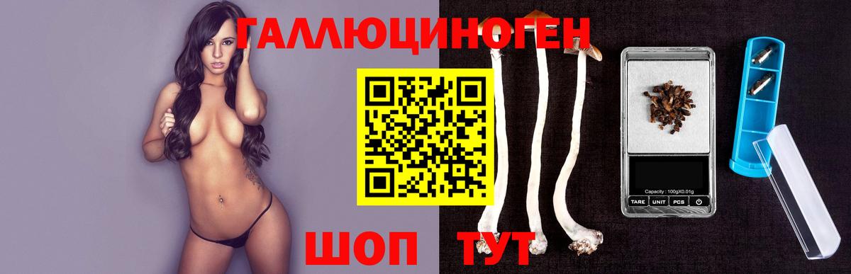 Галлюциногенные грибы GOLDEN TEACHER  Вход с VPN  Псилоцибиновые грибы мухоморы  Янаул 